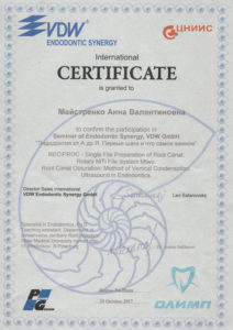 Сертификат Майстренко